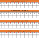 HARMONOGRAM DOSTAW – ZADANIE